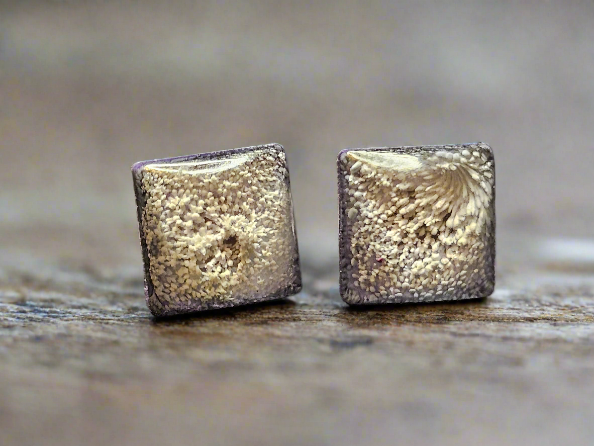 Resin Post Earrings