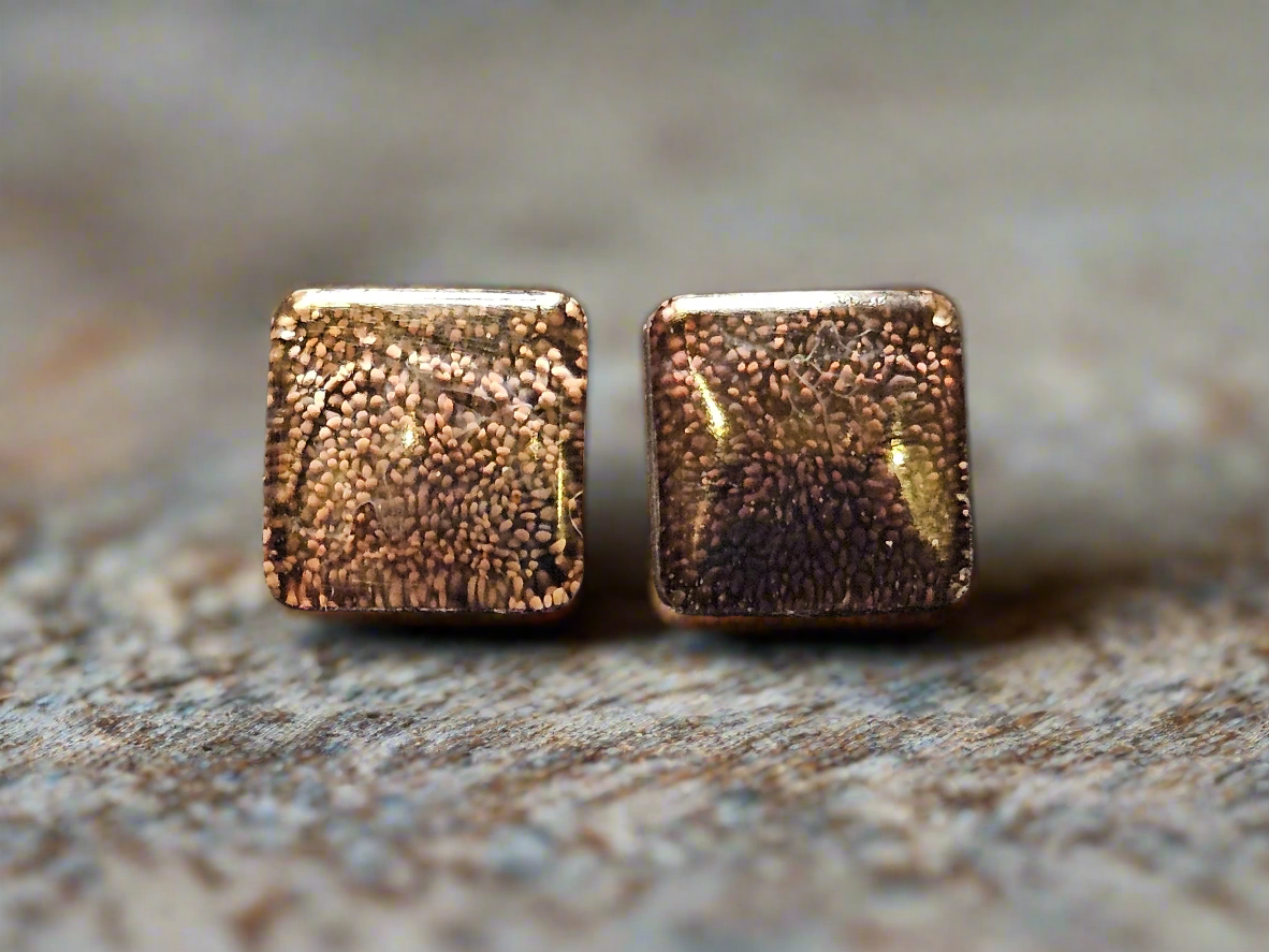 Resin Post Earrings